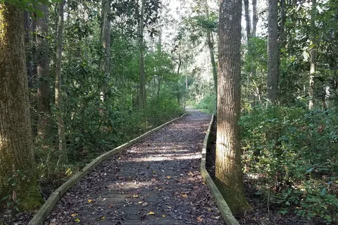 Reed Bingham State Park