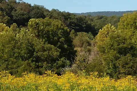 Main - Shenandoah River State Park