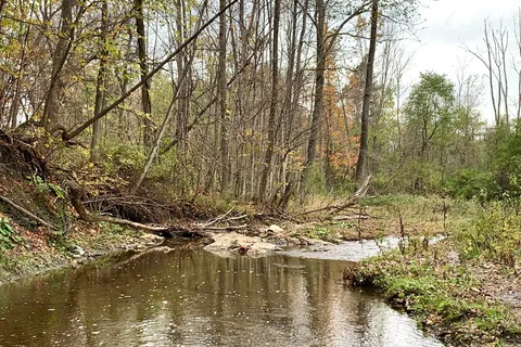 Darien Lakes State Park