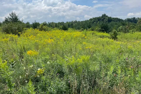Darien Lakes State Park