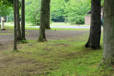Darien Lakes State Park