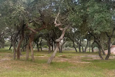 Alluring Oaks RV Park