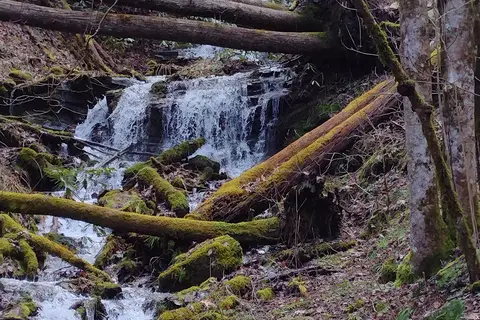Nelsons Nantahala Hideaway