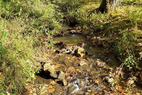 Nelsons Nantahala Hideaway
