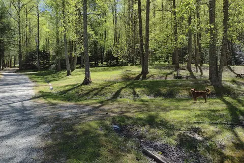 Nelsons Nantahala Hideaway