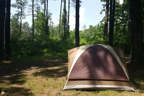Sawmill Road - Jesse Owens State Park