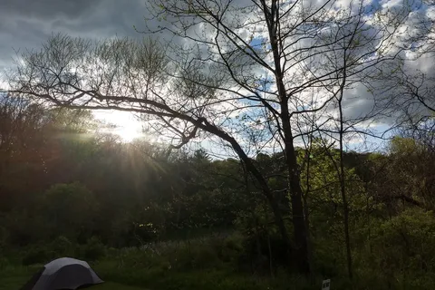 Sawmill Road - Jesse Owens State Park
