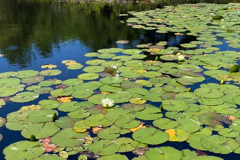 Six Mile Lake Provincial Park