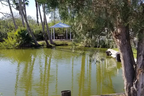 Four Seasons RV Resort | Brownsville Texas