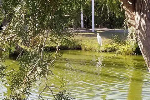 Four Seasons RV Resort | Brownsville Texas