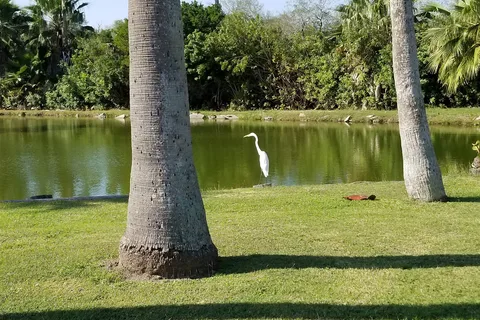 Four Seasons RV Resort | Brownsville Texas