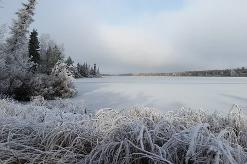 Fred Henne Territorial Park