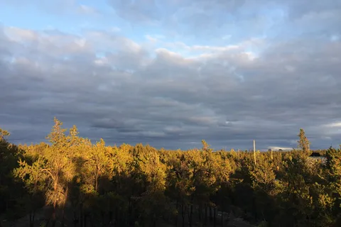 Fred Henne Territorial Park