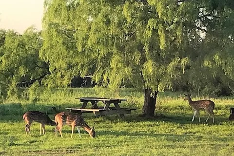 Safari Vista RV Park
