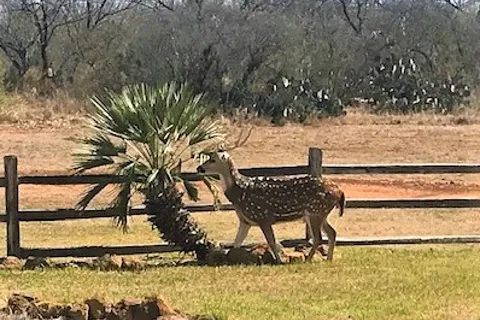 Safari Vista RV Park
