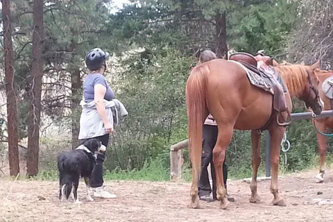 Wildhorse Mountain Ranch BandB