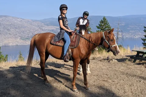 Wildhorse Mountain Ranch BandB