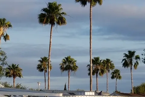 Paradise South RV Resort