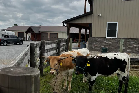 Chaffield Farm Estates