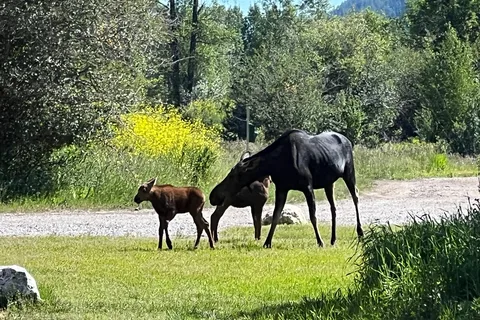 Jackson Hole Campground - Fireside Resort