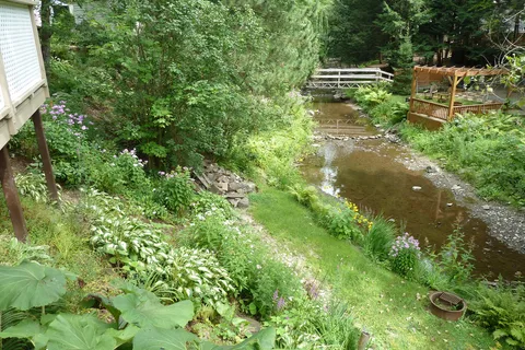 Camping Parc Bromont