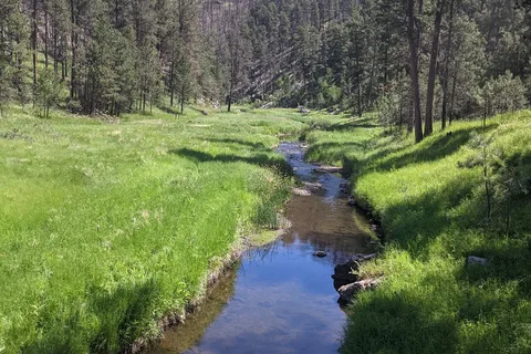 French Creek Horse Camp - Custer State Park