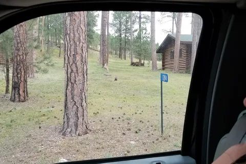 French Creek Horse Camp - Custer State Park