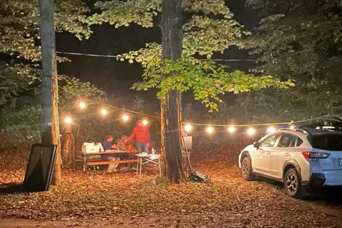 Butternut Grove Campsites