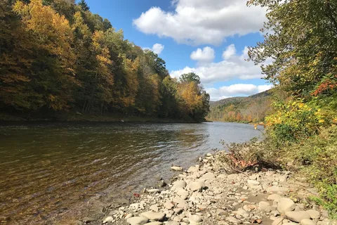 Butternut Grove Campsites