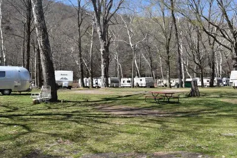 Butternut Grove Campsites
