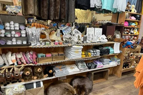 Cardwell General Store and Campground