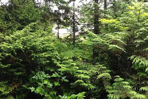 Kinnikinnick Campground and RV Park