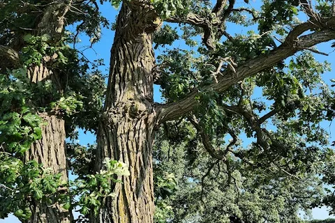 Whiterock Conservancy - Oak Ridge RV Campground
