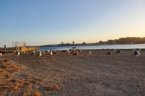 Porto Bodega Marina and RV Park