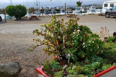 Porto Bodega Marina and RV Park