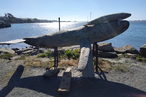 Porto Bodega Marina and RV Park