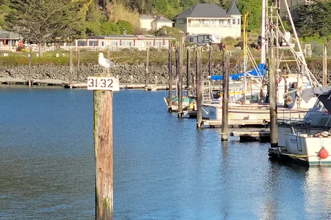 Porto Bodega Marina and RV Park