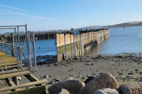 Porto Bodega Marina and RV Park
