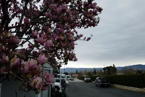 Mission RV Park