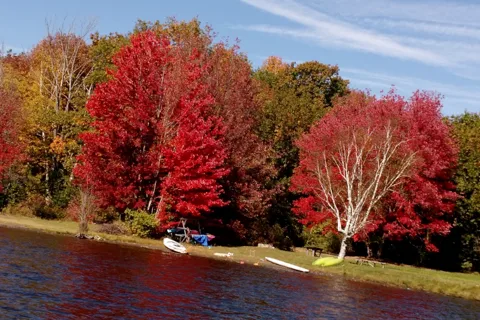 Mascoma Lake Campground by Modern America Campgrounds