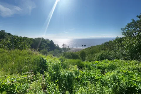 Clam Gulch State Recreation Area