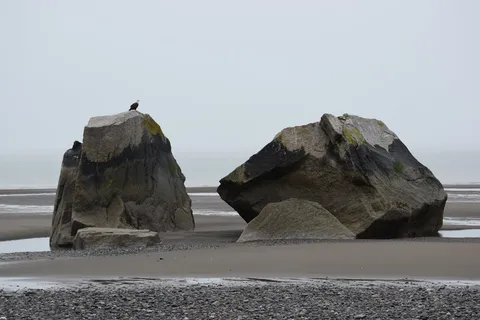 Clam Gulch State Recreation Area