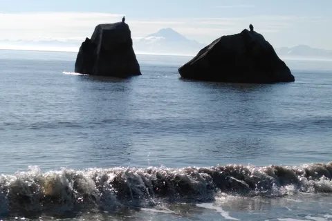 Clam Gulch State Recreation Area
