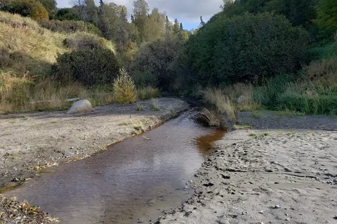 Clam Gulch State Recreation Area