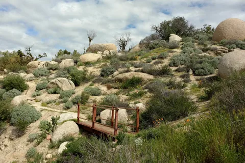 Jojoba Hills SKP Resort - Members only