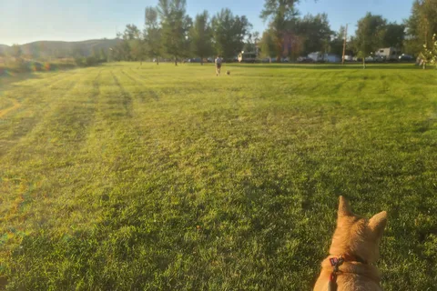Bernie and Sharon's Riverfront RV Park