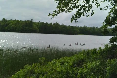 Duck Puddle Campgrounds