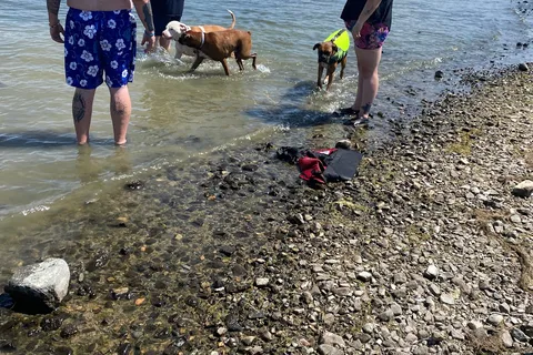 Crowley Lake Fish Camp Tackle