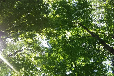 Maple Heights Campground