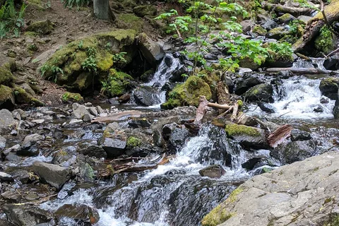Ainsworth State Park
